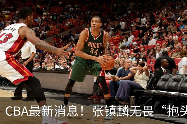 CBA最新消息！张镇麟无畏“抱头哥”称谓，辽宁助教加盟浙江，广厦续约布朗